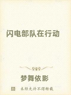 閃電部隊(duì)在行動(dòng)