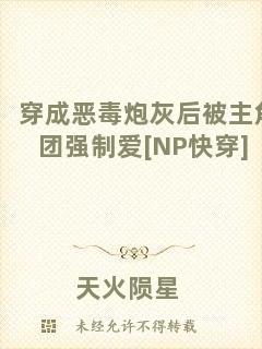穿成惡毒炮灰后被主角團(tuán)強(qiáng)制愛(ài)[NP快穿]