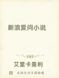 新浪愛問小說