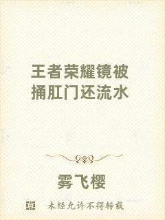 王者榮耀鏡被捅肛門還流水