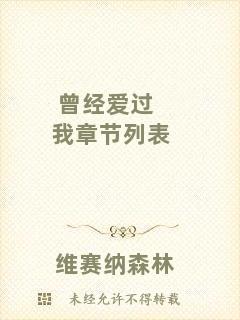 曾經(jīng)愛過我章節(jié)列表