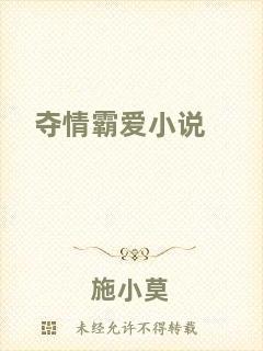 奪情霸愛(ài)小說(shuō)