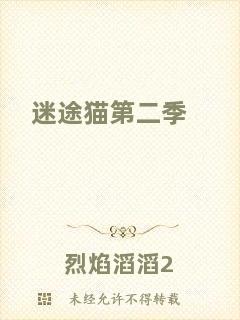 迷途貓第二季