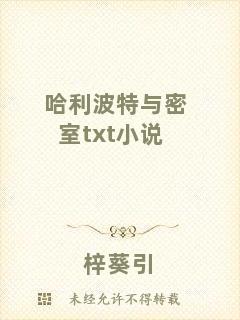 哈利波特與密室txt小說