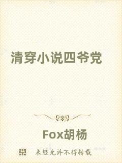 清穿小說(shuō)四爺黨