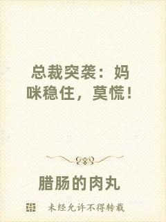 總裁突襲：媽咪穩(wěn)住，莫慌！