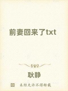 前妻回來了txt