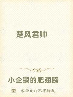 楚風(fēng)君帥