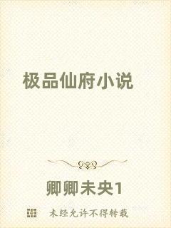 極品仙府小說